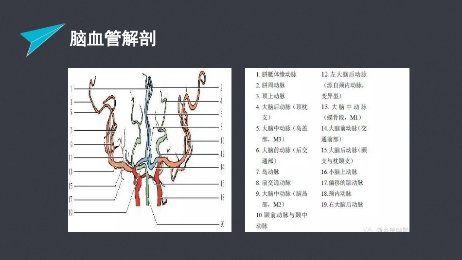 急性脑梗塞的责任血管判定_第3页