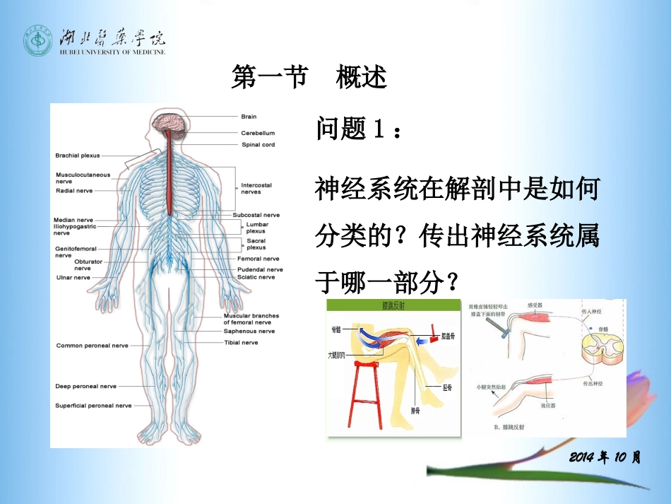 传出神经系统药理(5-10章)_第3页