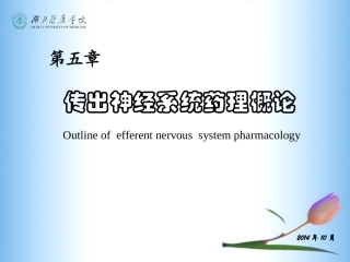 传出神经系统药理(5-10章)