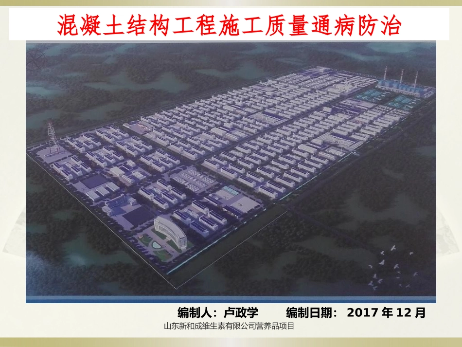 新和成维生素项目混凝土质量通病防治-演示文稿_第1页