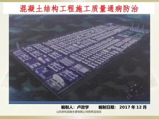 新和成维生素项目混凝土质量通病防治-演示文稿