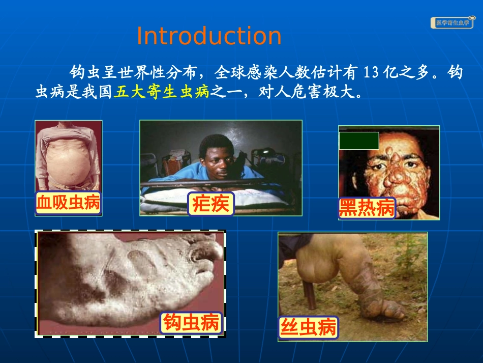 钩虫蛲虫(冯)_第2页