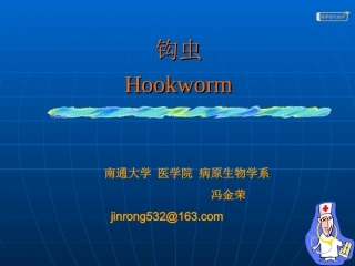 钩虫蛲虫(冯)