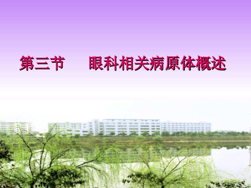 眼科相关病原体概述_第1页