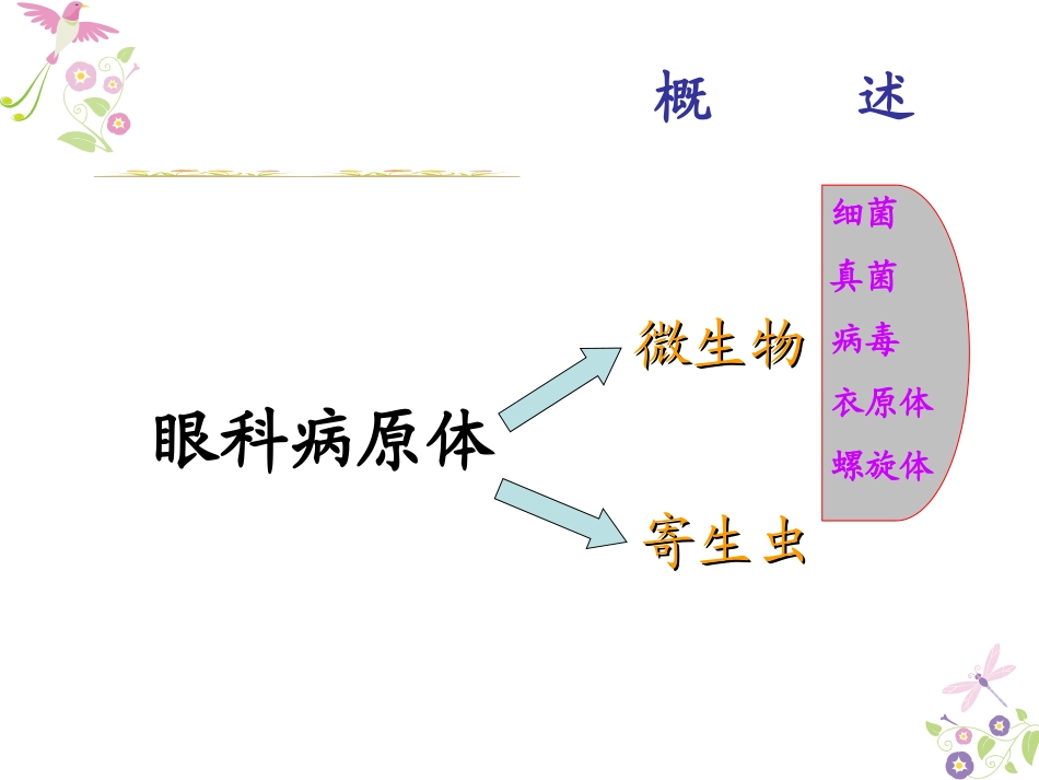 眼科相关病原体概述_第3页