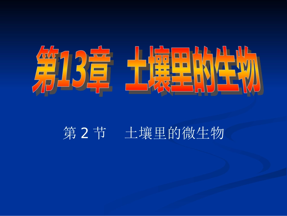 土壤中的微生物_第1页