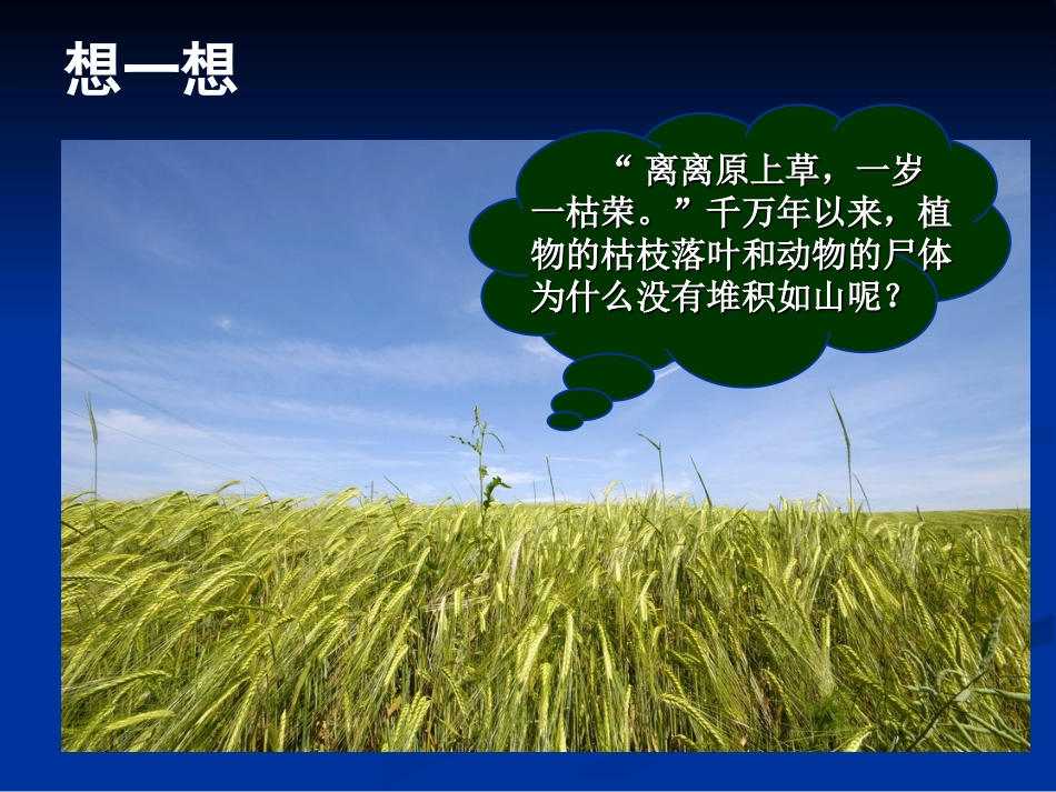 土壤中的微生物_第2页