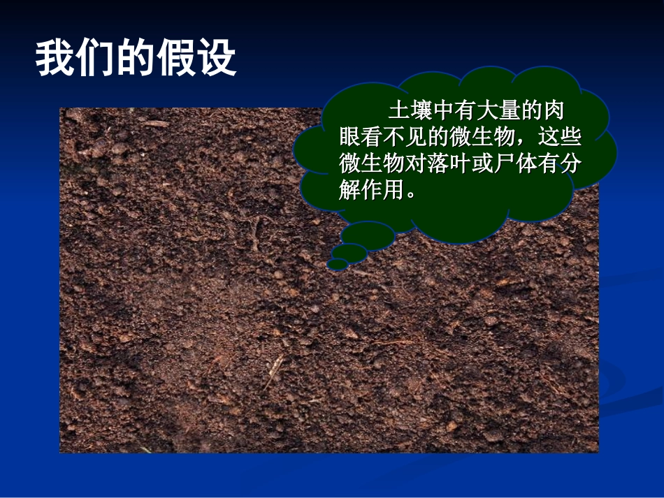 土壤中的微生物_第3页