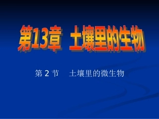 土壤中的微生物