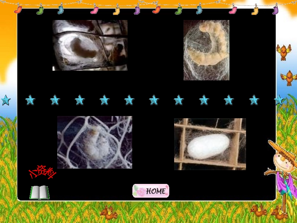 蚕变了新模样_第3页