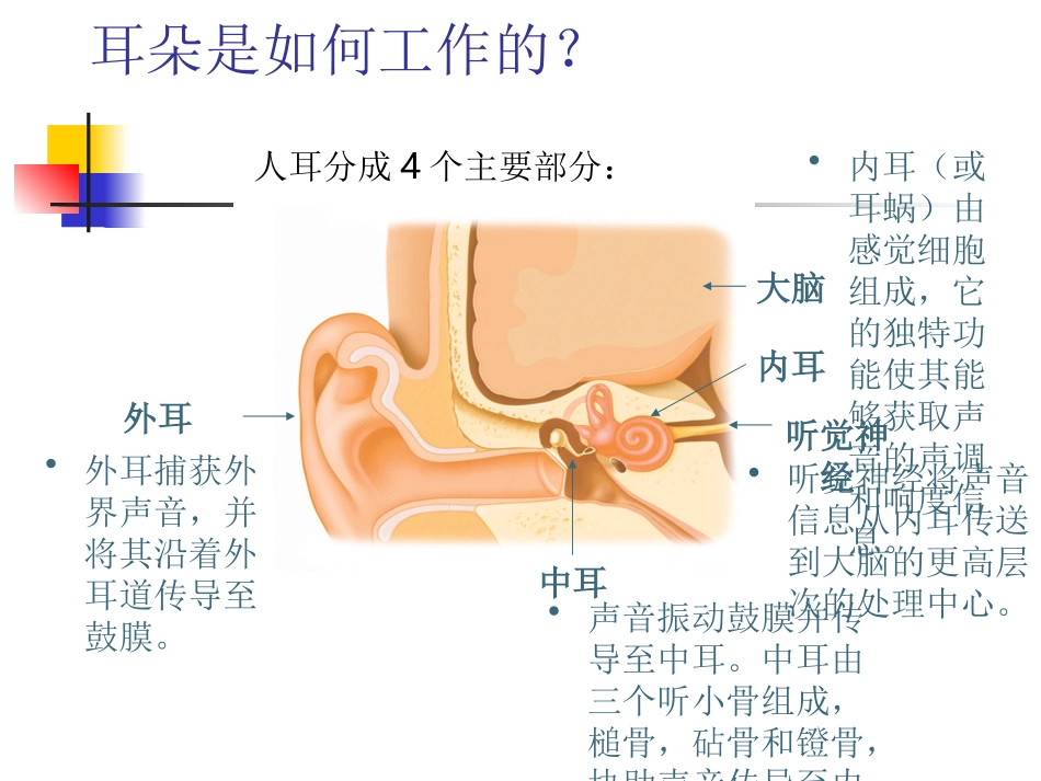 听力损失及防治_第3页