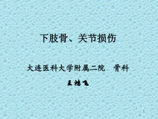 下肢骨、关节损伤