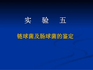 链球菌、肠球菌