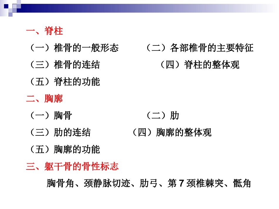 躯干骨及连结_第2页