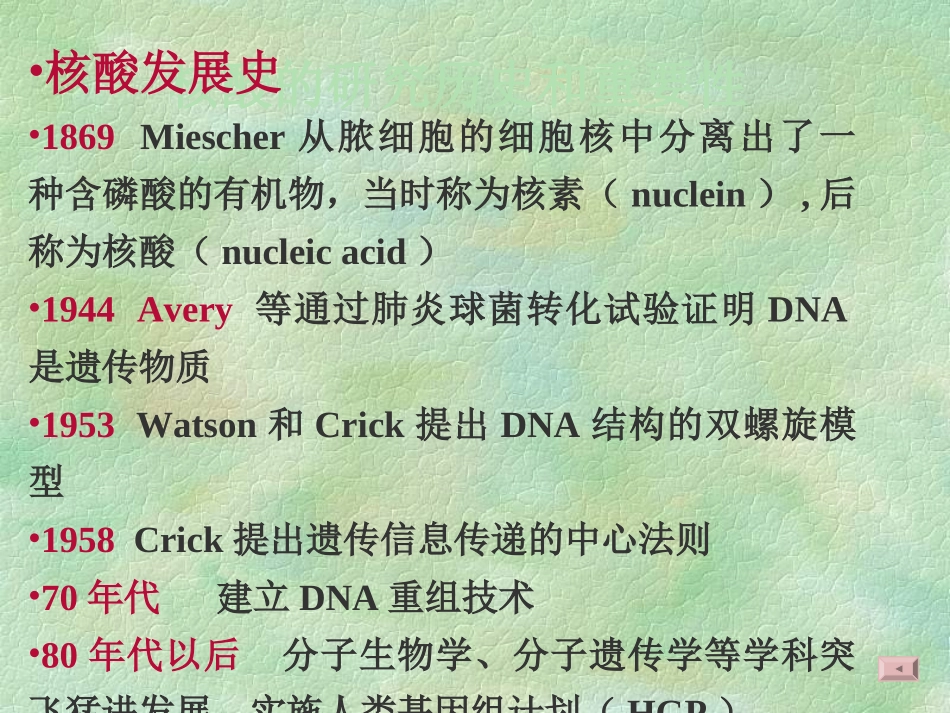 第四章核酸的化学结构_第2页