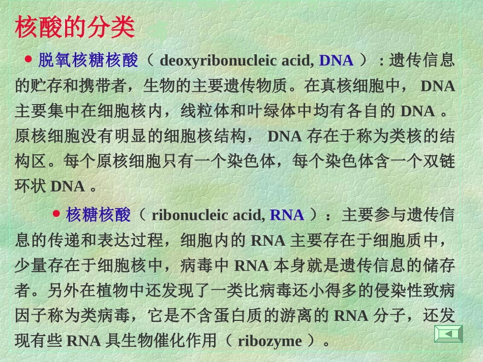 第四章核酸的化学结构_第3页