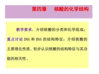 第四章核酸的化学结构