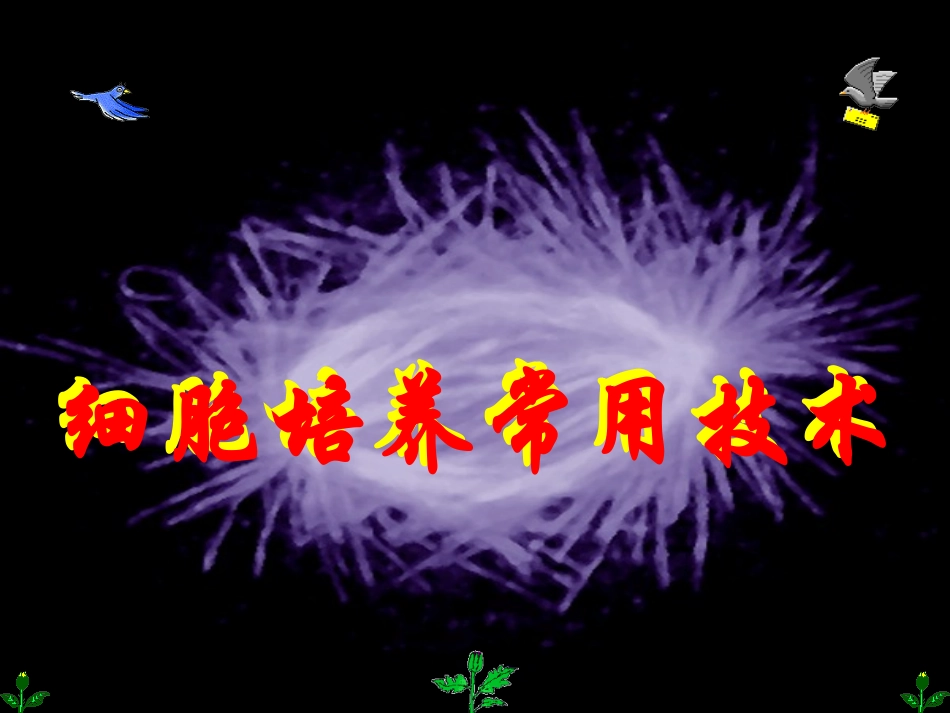 细胞培养常用技术_第1页