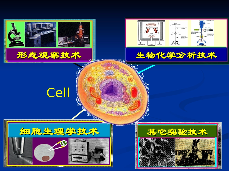 细胞培养常用技术_第2页