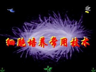 细胞培养常用技术