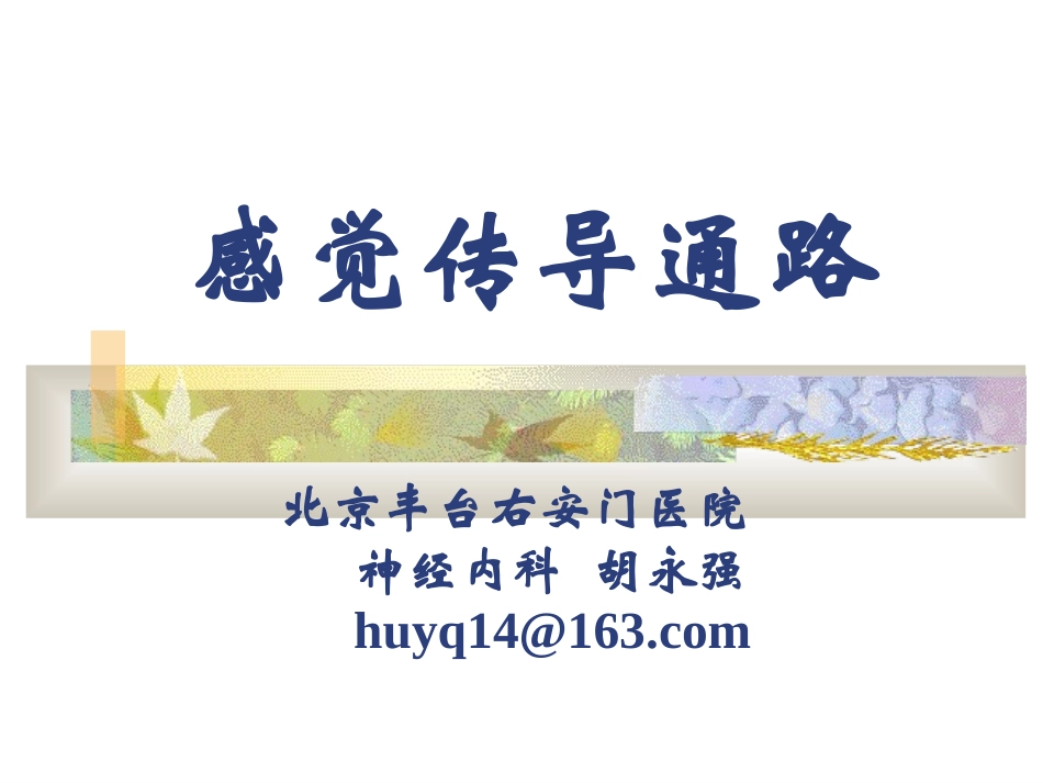 神经系统-感觉传导路_第1页