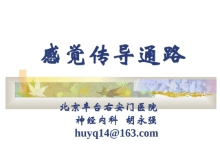 神经系统-感觉传导路