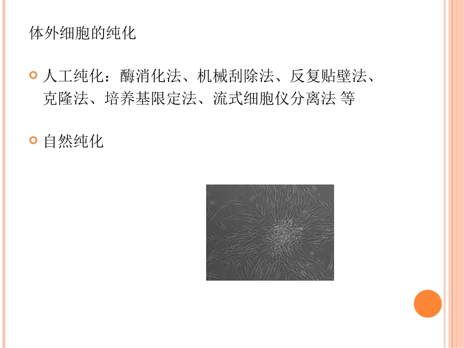 口腔培养细胞的取材与分离_第2页