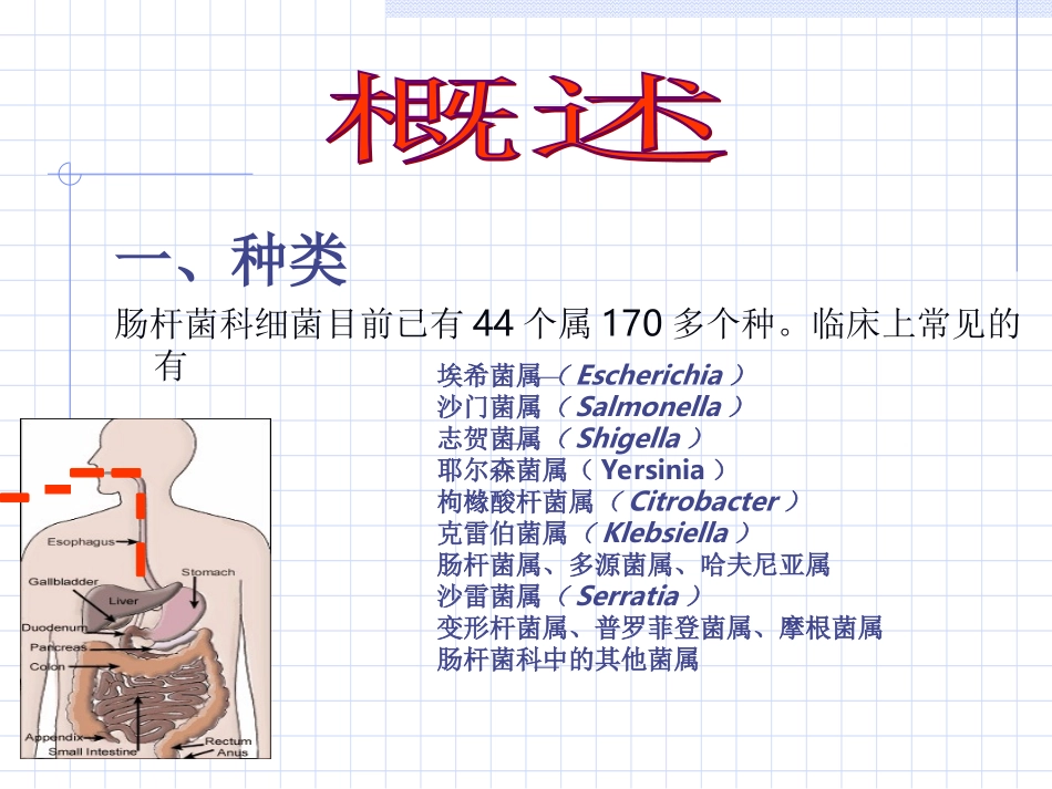 海医第10章--肠杆菌科-1_第2页