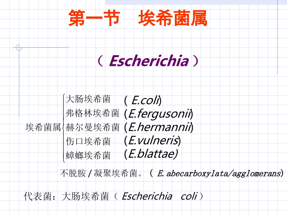 海医第10章--肠杆菌科-1_第3页