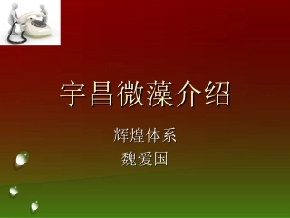 螺旋藻知识讲解