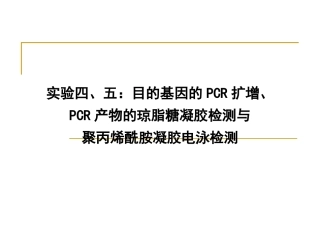 实验四、五：目的基因的PCR扩增