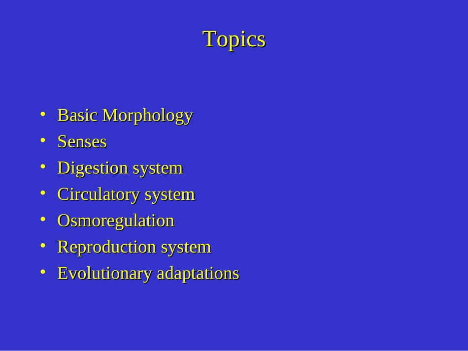 鲨鱼-软骨鱼类_第2页