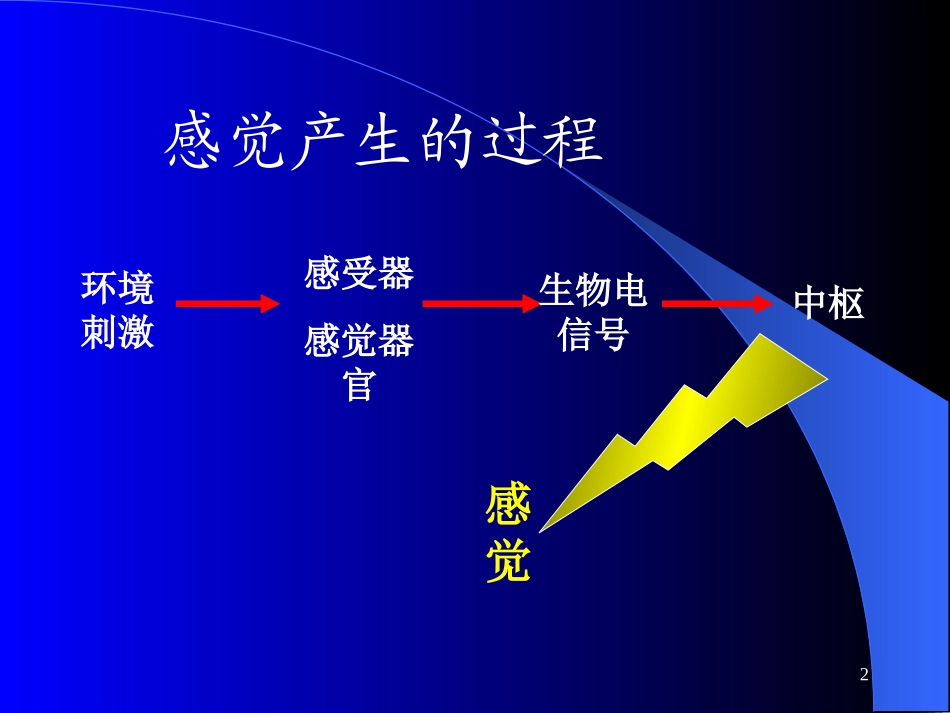 感官稿(he2)_第2页