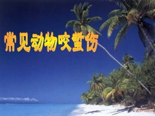 常见动物咬蜇伤