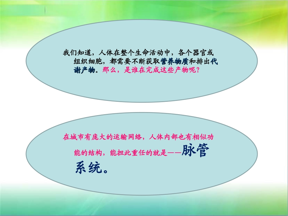 心血管系统)_第2页