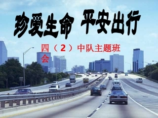 珍爱生命-平安出行四(2)中队