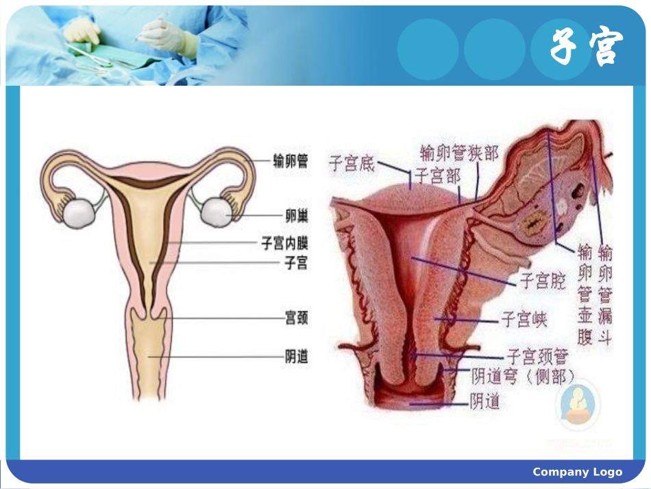 子宫内膜癌的手术配合_第3页