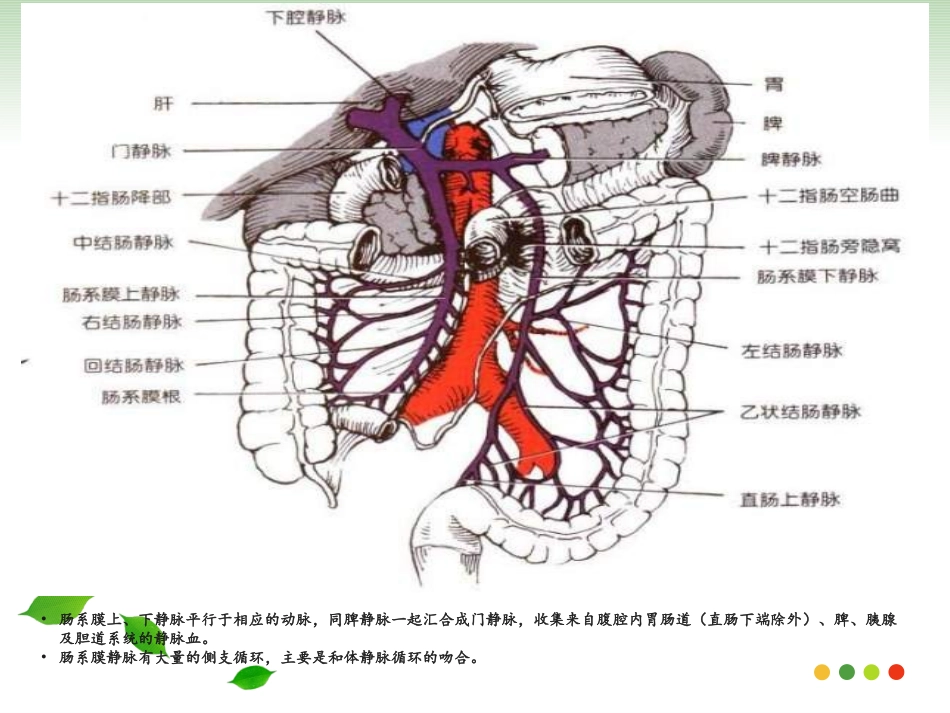 肠系膜静脉血栓形成_第2页