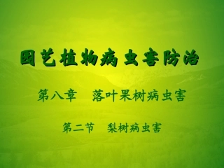 梨树病虫害描述