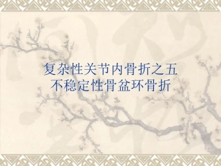 不稳定性骨盆环骨折