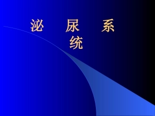 泌尿检查方法及结石