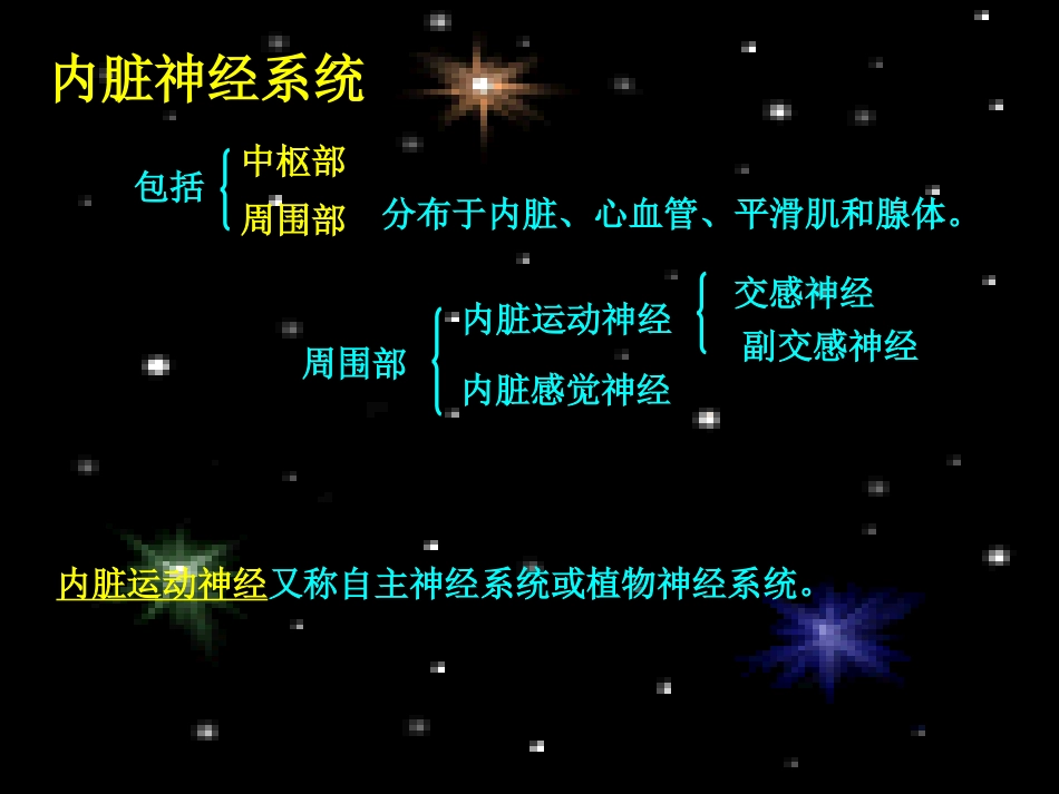 内脏神经传导通路_第2页