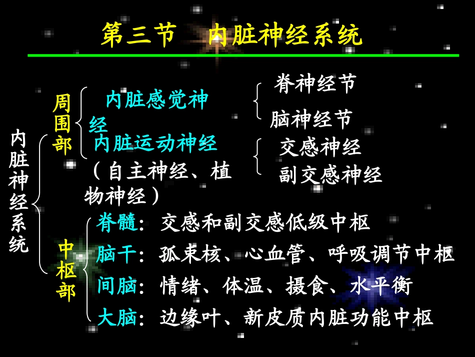 内脏神经传导通路_第3页