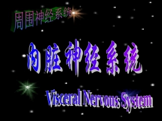 内脏神经传导通路