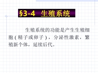 内脏(4)生殖系统