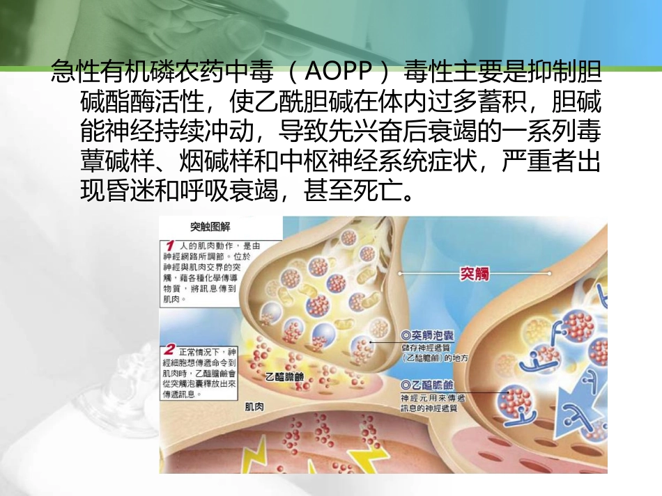 急性有机磷中毒-孙跃喜_第2页