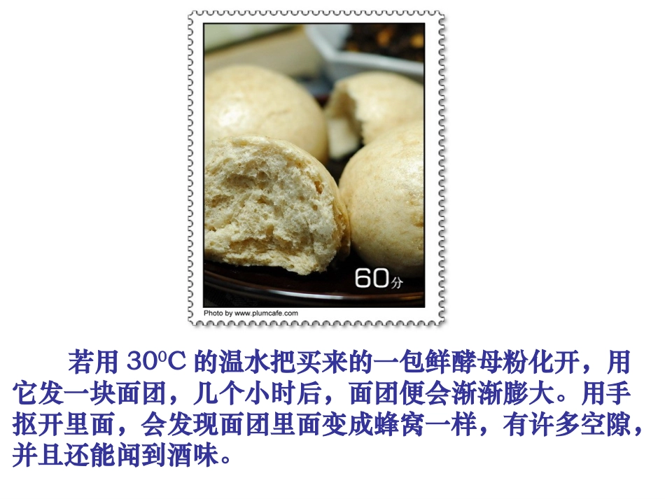 高一生物《第5章第3节 ATP的主要来源—细胞呼吸》_第3页