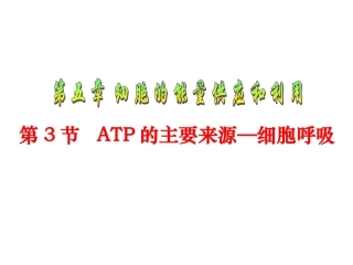 高一生物《第5章第3节 ATP的主要来源—细胞呼吸》