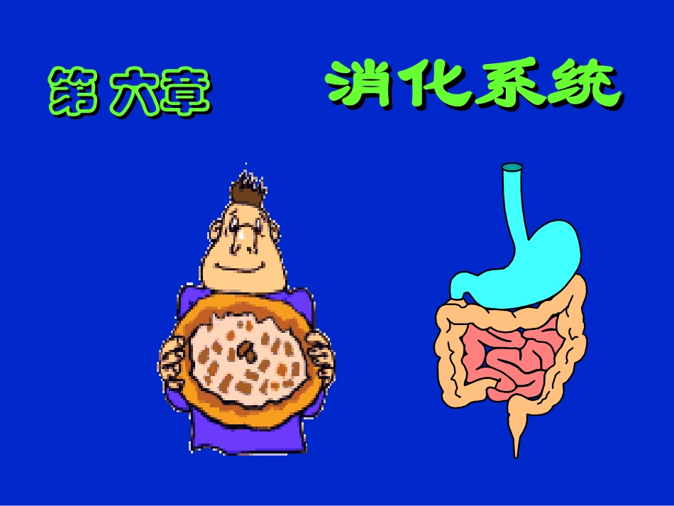(6)消化系统(改)_第1页