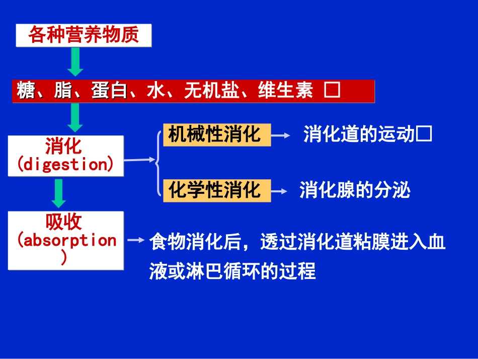 (6)消化系统(改)_第2页